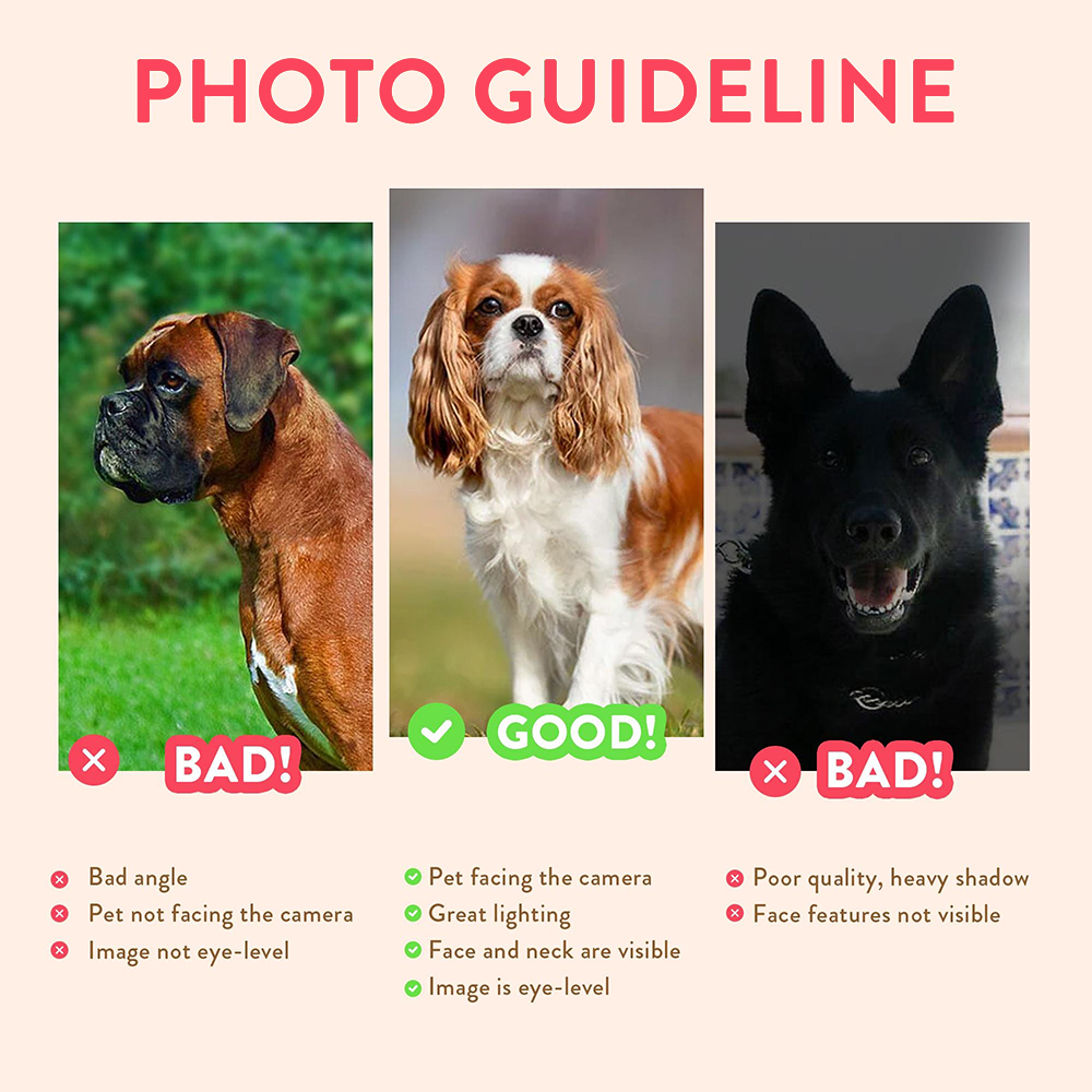 Gepersonaliseerde huisdierport - Pet Portrait Custom recensie en prijs