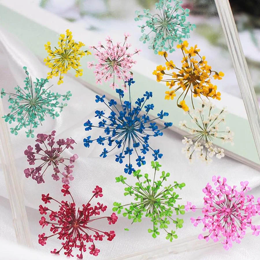 60pcs Geperst Gedroogde 20-25m - Dried Flower Bookmark recensie en prijs