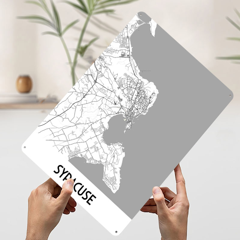 Syracuse stadskaart metalen po - Custom Map Poster recensie en prijs