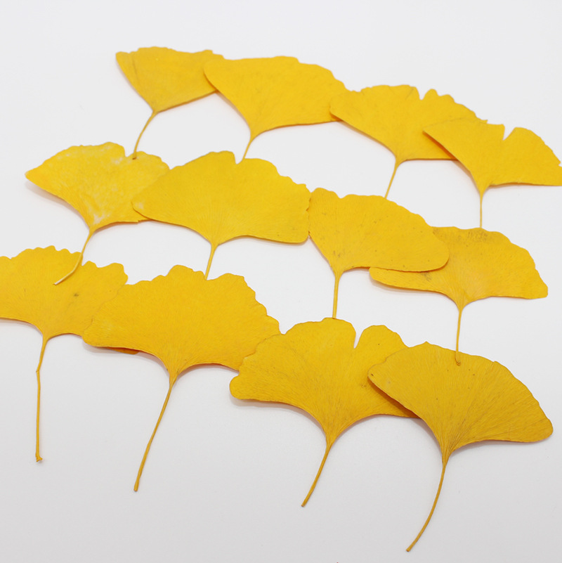 60 Stuks Geperst Gedroogd Geel - Dried Flower Bookmark recensie en prijs